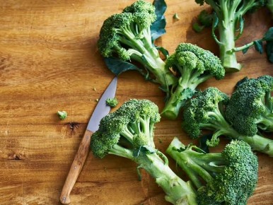 ������ ��� ������������ ��������: ��� ������� ��� ��������?