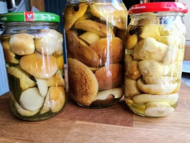 Как правильно мариновать лесные грибы: популярный рецепт