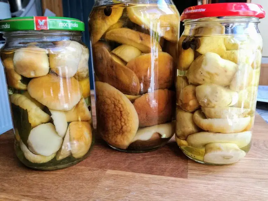 Как правильно мариновать лесные грибы: популярный рецепт