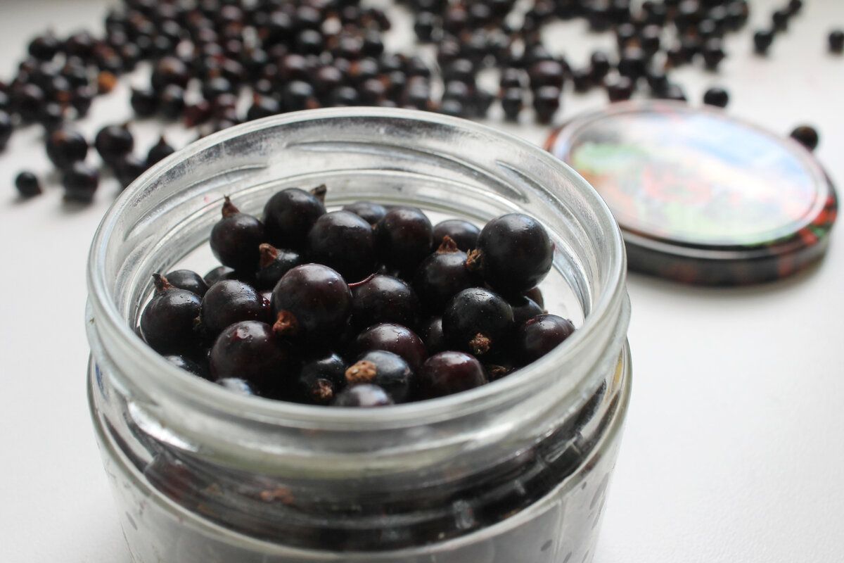 ��� ��������� ������ ���������: ������� ������� � ���� ��� ������ ���������