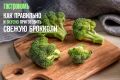 Как сделать брокколи вкусной: секреты приготовления полезного овоща