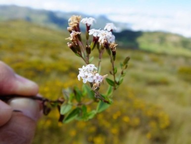 ������ � ����������: ����� ������ � ������ � ����� ������������� ������