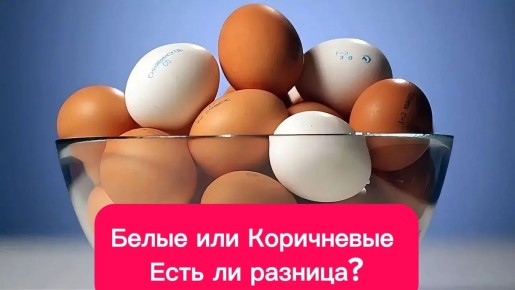 Коричневые и белые яйца: Разница в цене и вкусе