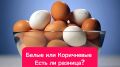 Коричневые и белые яйца: Разница в цене и вкусе