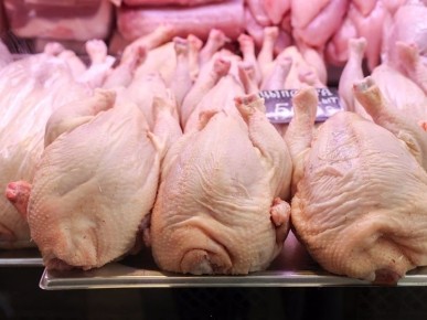 ���� �� ������ ������ �������� ������������ � ���������� ����������