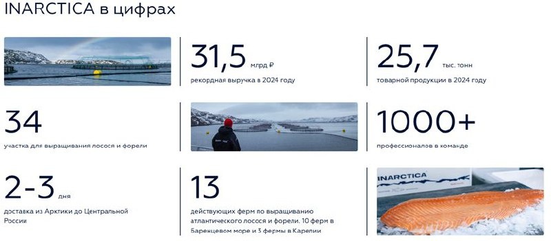 Инарктика: вызовы и перспективы на пороге 2026 года