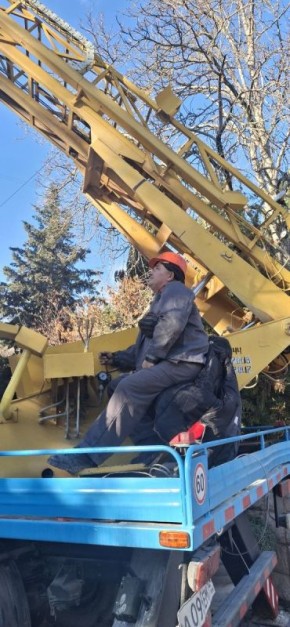 Праздничные приготовления к Новому году: как создать волшебство в вашем доме