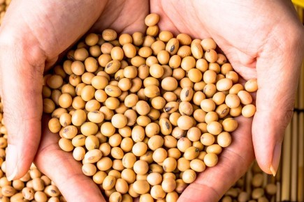 ������ ������: ���� ��������, ������� �����