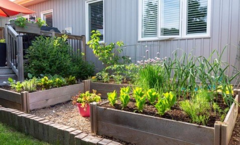 ��� ������� ����� ������ � ���������� �� ���������