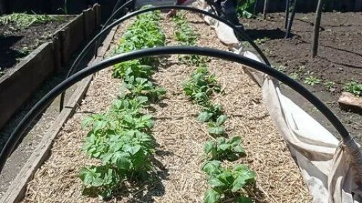 ������� ������� ��������� � �����: ��� ���������� ����������� � ������ �������� �������� ������