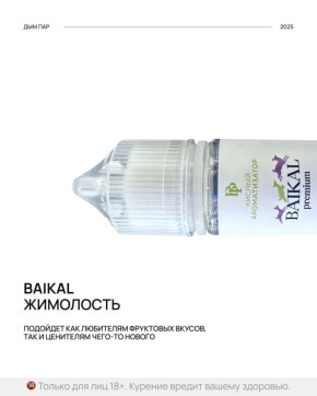 ������ �����������: ����� ������� ���� BAIKAL �����������