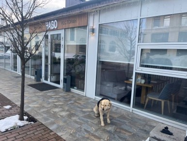 Ужин с морепродуктами в ресторане НАВО