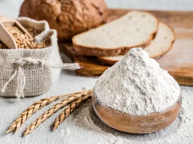 Муке под микроскопом: разнообразие видов и сорта для кулинарных экспериментов