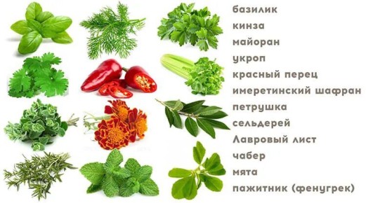 Хмели сунели: грузинское волшебство, которе покоряет гурманов