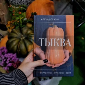 ���� � �������� �����: ������������ �����������