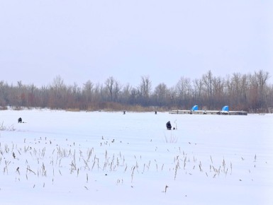 ������ ����� � ��������: ��� ����� ������������ � ��� �� �����