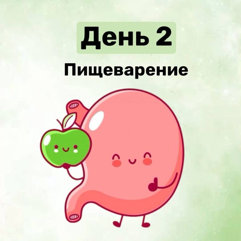 ���� 2: ����������� � ������
