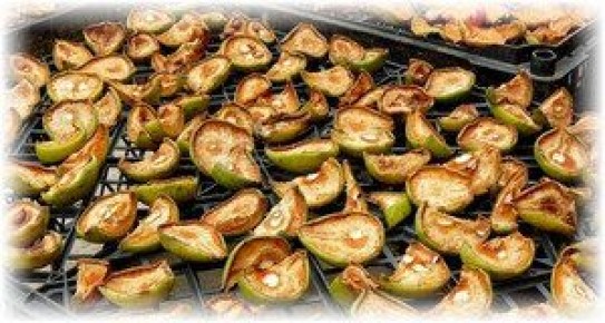 ���������� ����� �����: ������� � ������