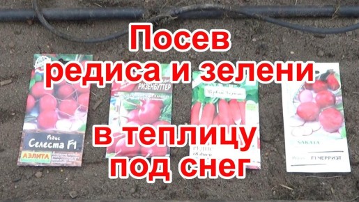 ����� ������ � ������ � ������� ��� ����: ������ ������� ������