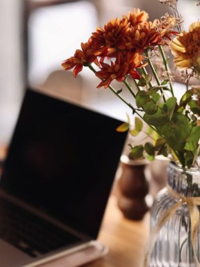 ����� ����� � ������: ��������, ������� � ���