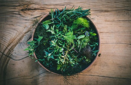 ����������� ������: ���������� ����� � ������� ��������, ������� � ���������