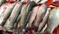 Россия достигла рекорда в самообеспечении рыбной продукцией
