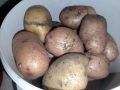 Лучшие сорта картофеля для песчаных почв: как добиться рекордного урожая