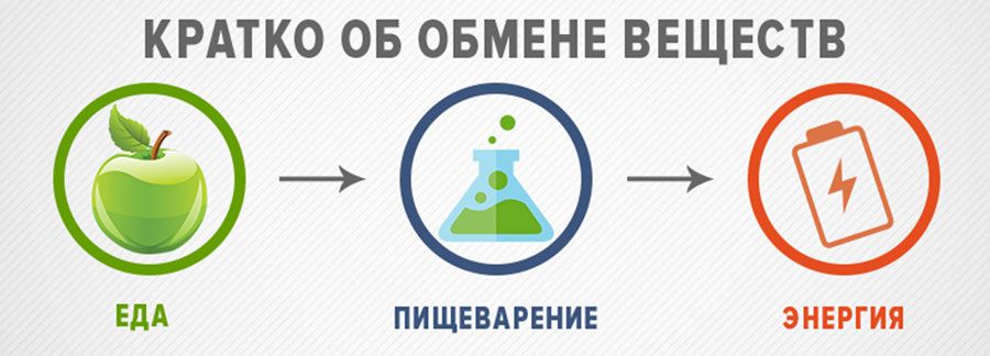 Почему после еды мы чувствуем усталость: скрытые причины и решения