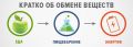 Почему после еды мы чувствуем усталость: скрытые причины и решения